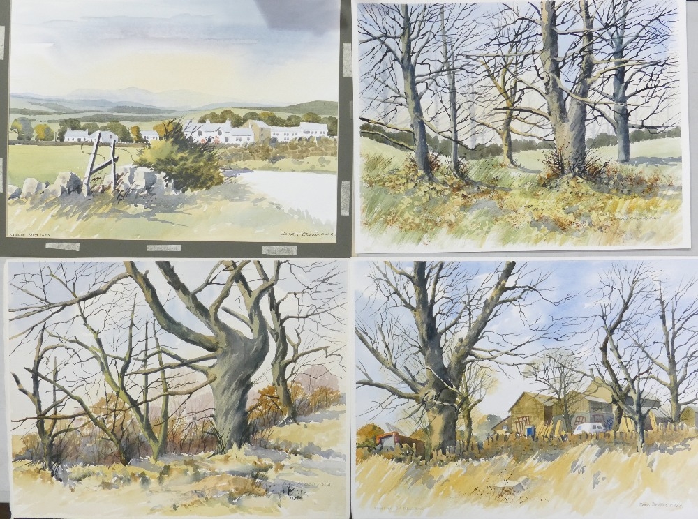 Doris Brown S.W.A (1933-2023) Five Rural and Forest Scenes. Watercolour on paper, unmounted. - Image 2 of 2