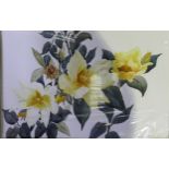 June Inskip (Local Artist). Two Mounted Floral Watercolours including one of Yellow Roses and