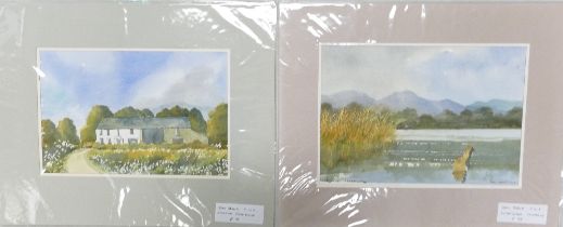 Doris Brown S.W.A (1933-2023) 'Swan Lake, Elterwater' and 'Cumbrian Farmhouse'. Two Watercolour