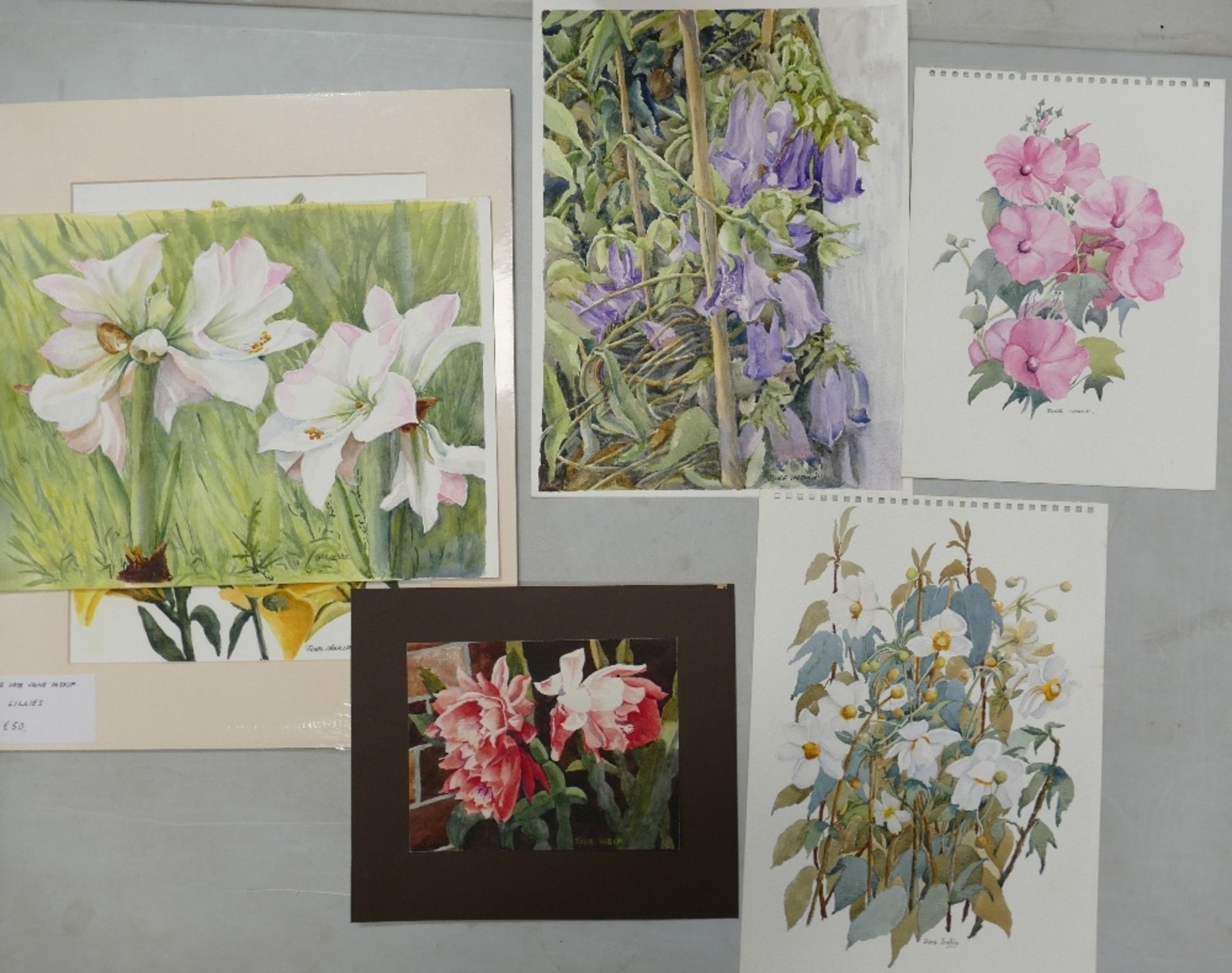 June Inskip (Local Artist). Six Floral Watercolours. Two mounted examples with four unmounted. - Image 4 of 4