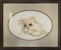 Angela Alcock (Local Artist) 'Persian Kitten'. Watercolour on paper. Framed behind Glass. Signed
