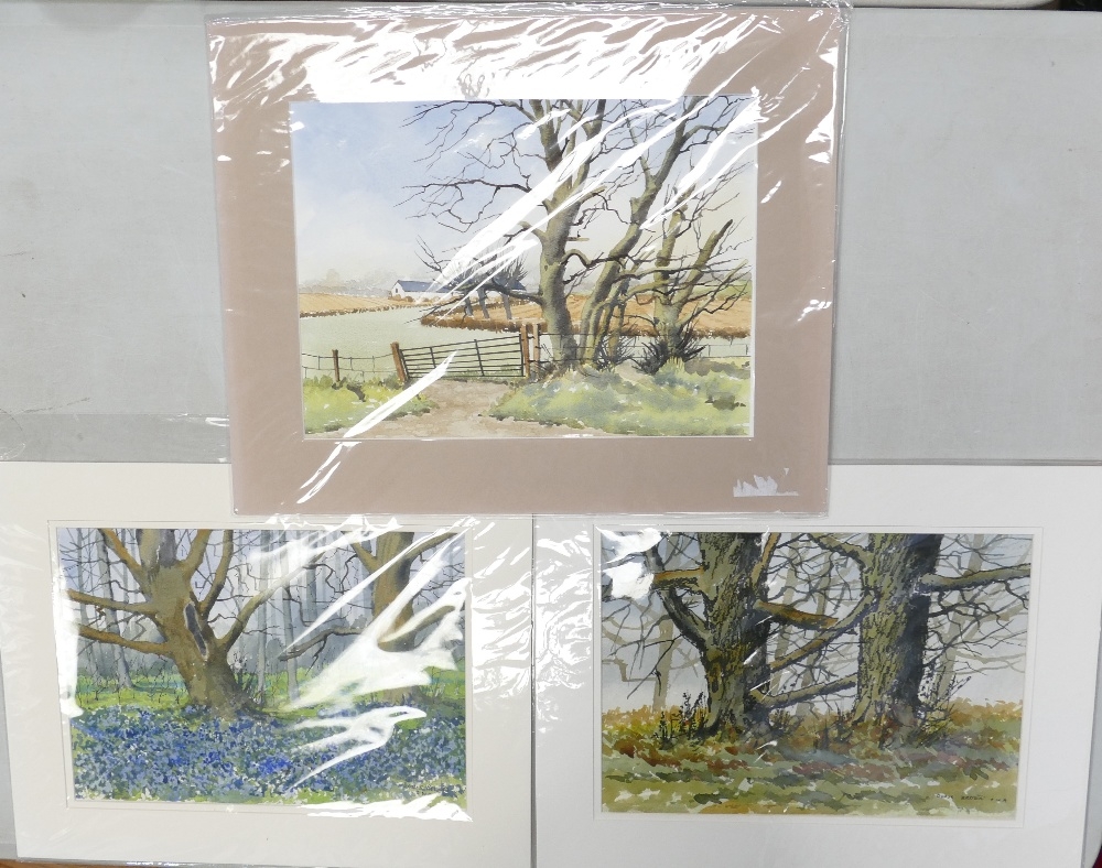 Doris Brown S.W.A (1933-2023) Three untitled Forest Scenes. Watercolour on paper, mounted. Signed