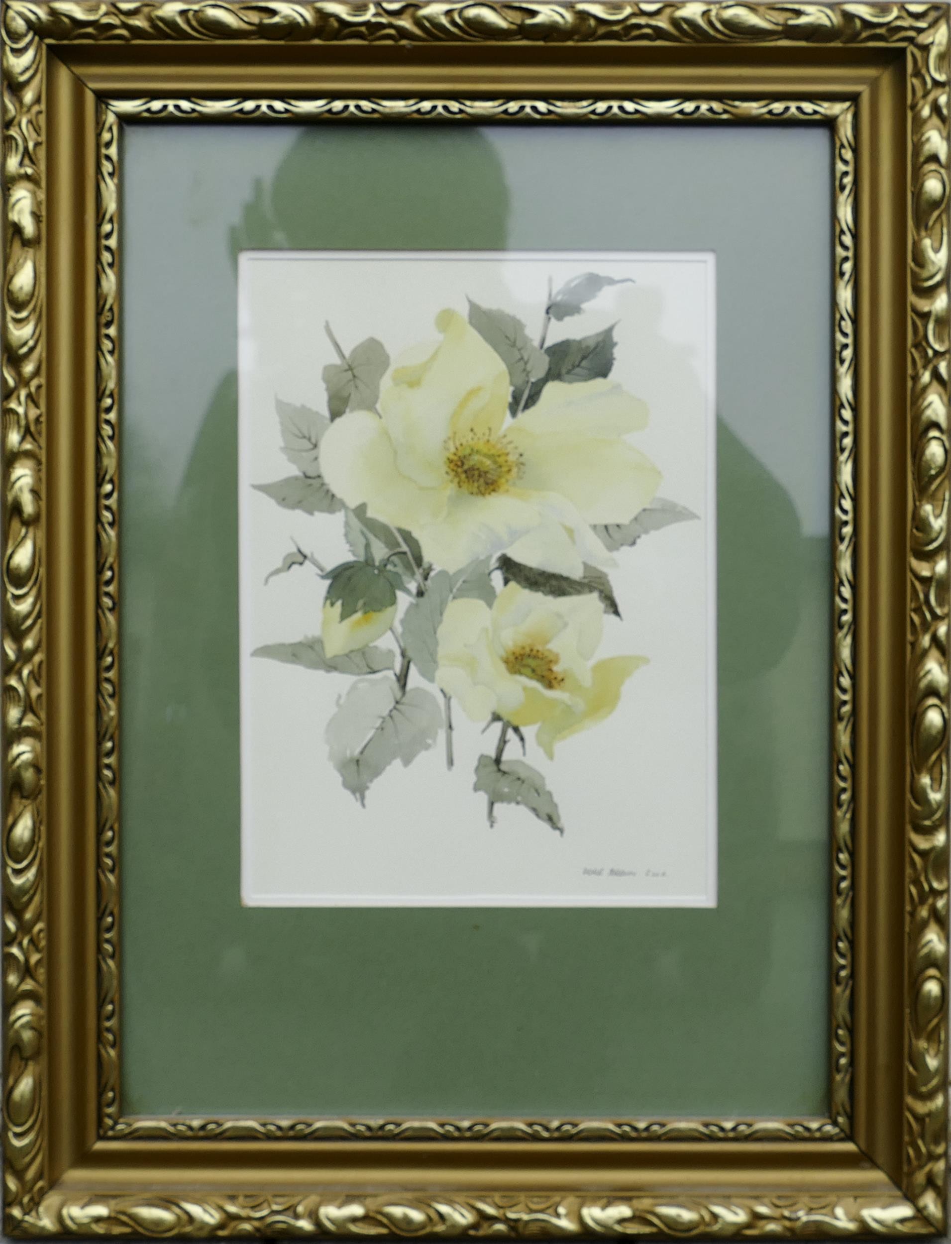 Doris Brown S.W.A (1933-2023) Floral Vignette, Watercolour on Paper, signed lower right 'Doris Brown - Image 2 of 8