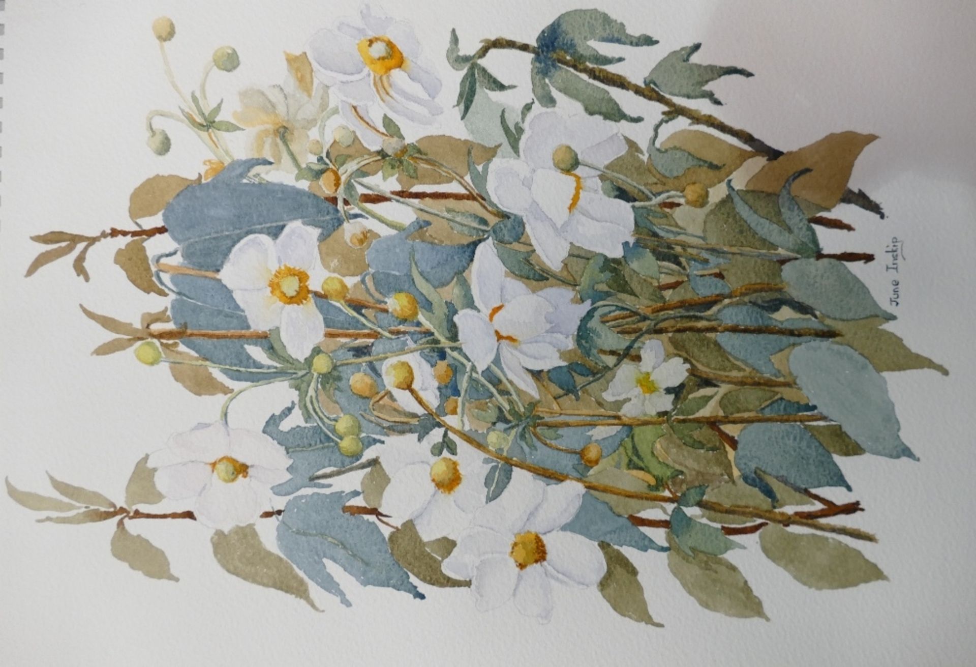 June Inskip (Local Artist). Six Floral Watercolours. Two mounted examples with four unmounted. - Image 2 of 4