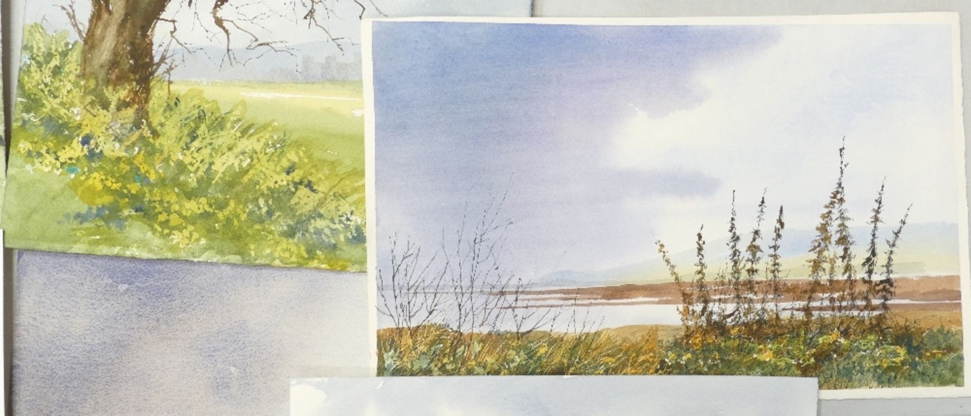 Doris Brown S.W.A (1933-2023) Eleven Landscapes and Rural Scenes. Watercolour on paper, unmounted. - Image 3 of 5