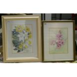 June Inskip (Local Artist). Two Floral Spray Still Lifes of Orchid and Similar. Watercolour on