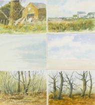 Doris Brown S.W.A (1933-2023) Six Watercolour Scenes to include Rural and Forest Themes including