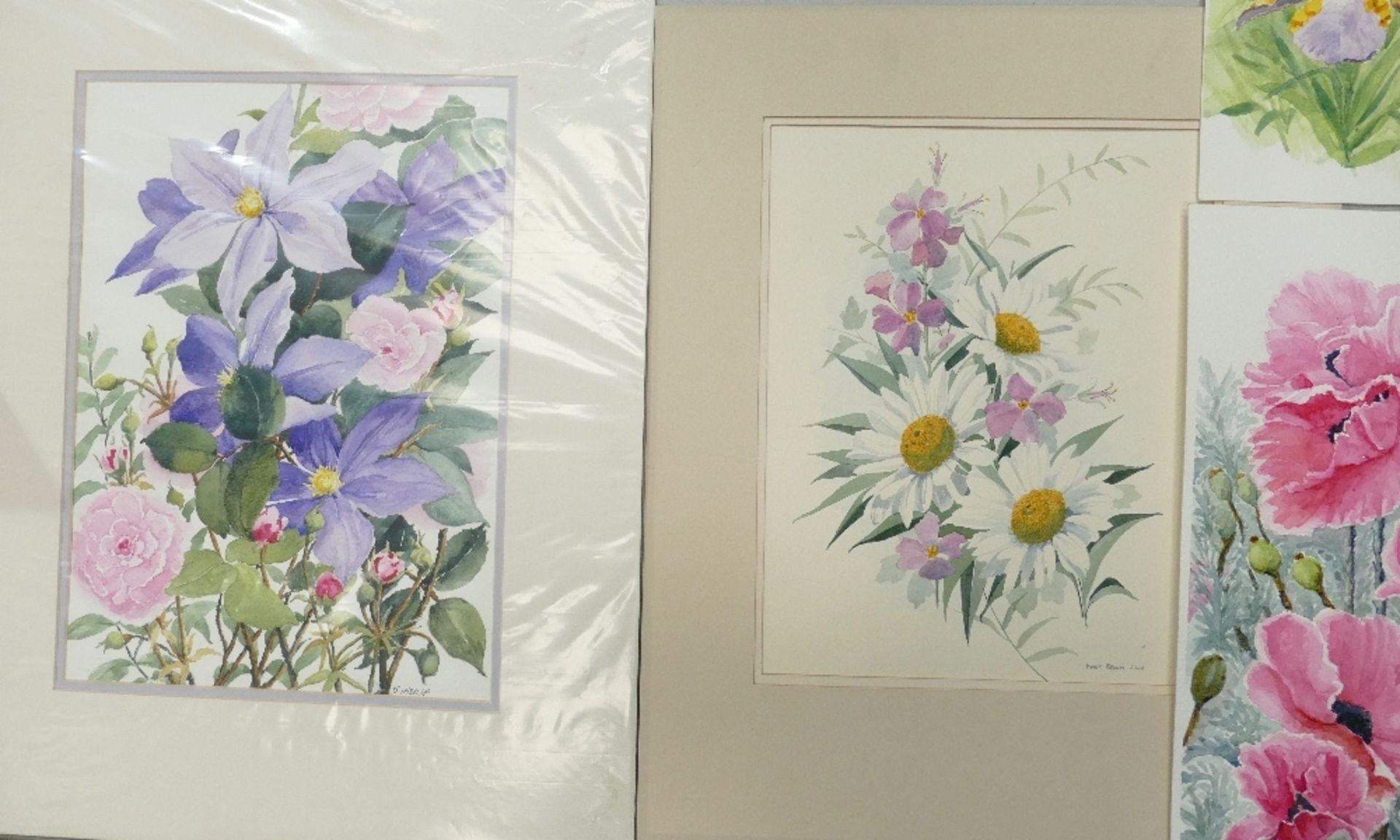 A Collection of Eight Floral Watercolours and one Rural Building Pen Sketch by Doris Brown S.W.A ( - Image 3 of 4