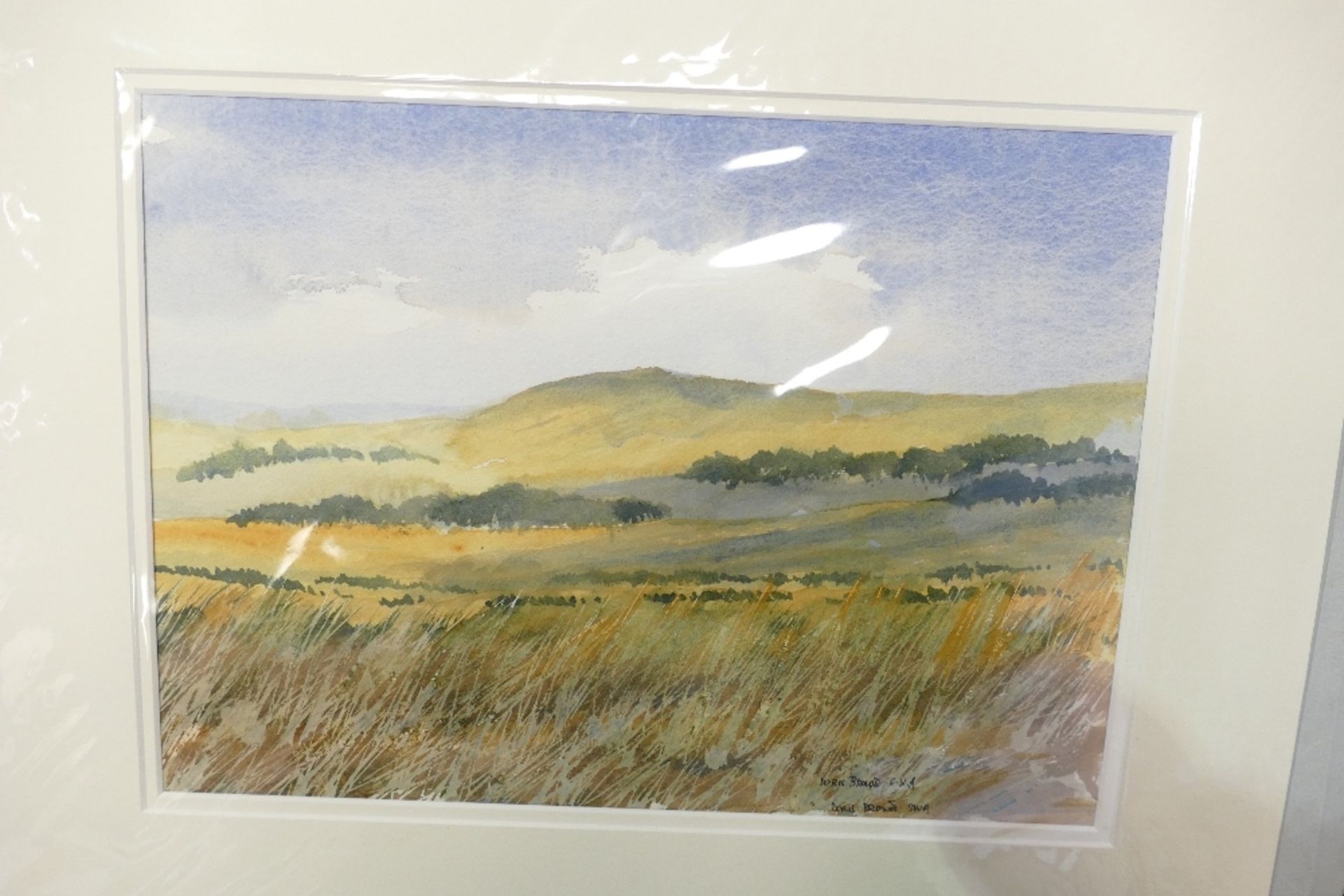 Doris Brown S.W.A (1933-2023) Three untitled landscapes. Watercolour on paper, mounted. Signed lower - Image 4 of 5