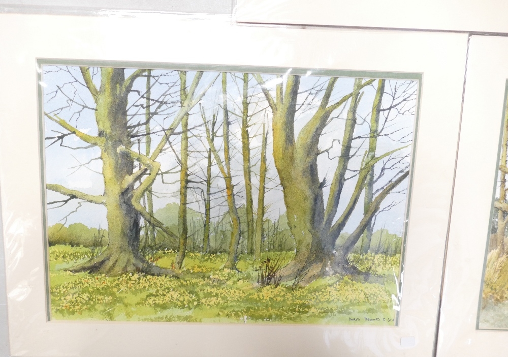 Doris Brown S.W.A (1933-2023) Three Untitled Forest Scenes. Watercolour on paper, mounted. Signed - Image 5 of 5