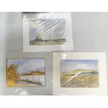 Doris Brown S.W.A (1933-2023) Three untitled landscapes. Watercolour on paper, mounted. Signed lower