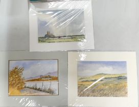 Doris Brown S.W.A (1933-2023) Three untitled landscapes. Watercolour on paper, mounted. Signed lower