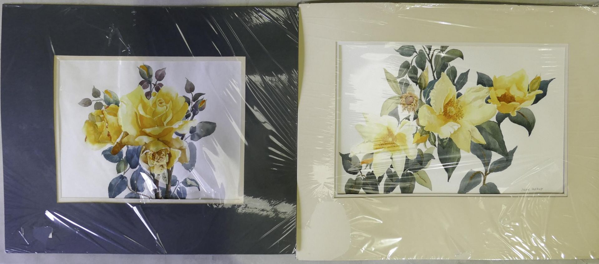 June Inskip (Local Artist). Two Mounted Floral Watercolours including one of Yellow Roses and - Image 2 of 6