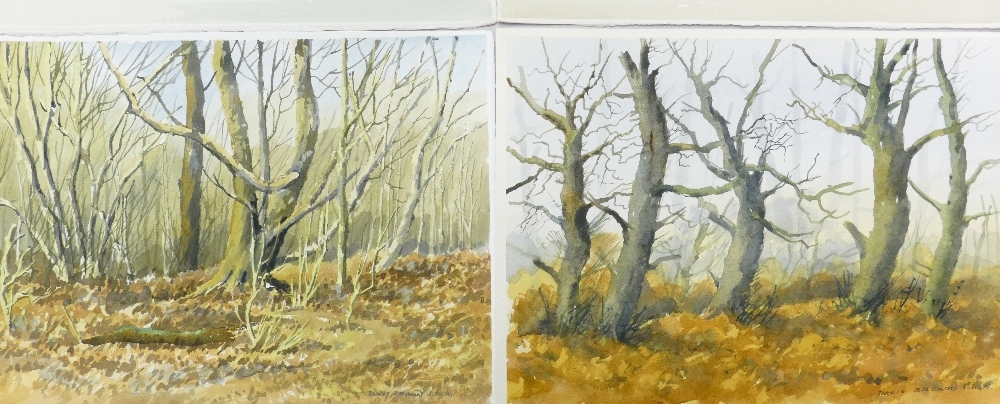Doris Brown S.W.A (1933-2023) Six Watercolour Scenes to include Rural and Forest Themes including - Image 5 of 5