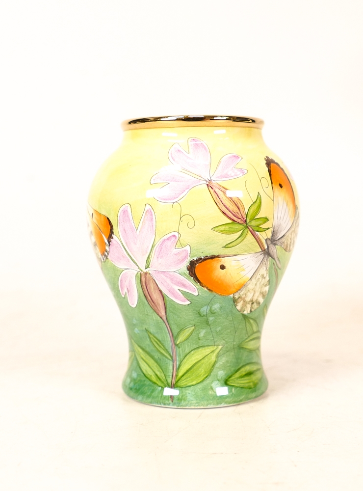 Moorcroft enamel The Awakening vase by Fiona Bakewell , Limited edition 17/50. Boxed with - Image 3 of 5