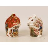 Two Royal Crown Derby paperweights Red Squirrel & Stoney Middleton Ltd Ed Squirrel , gold