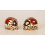 Royal Crown Derby paperweights Two Spot Lady Bird & Seven Spot Lady Bird, gold stoppers, each