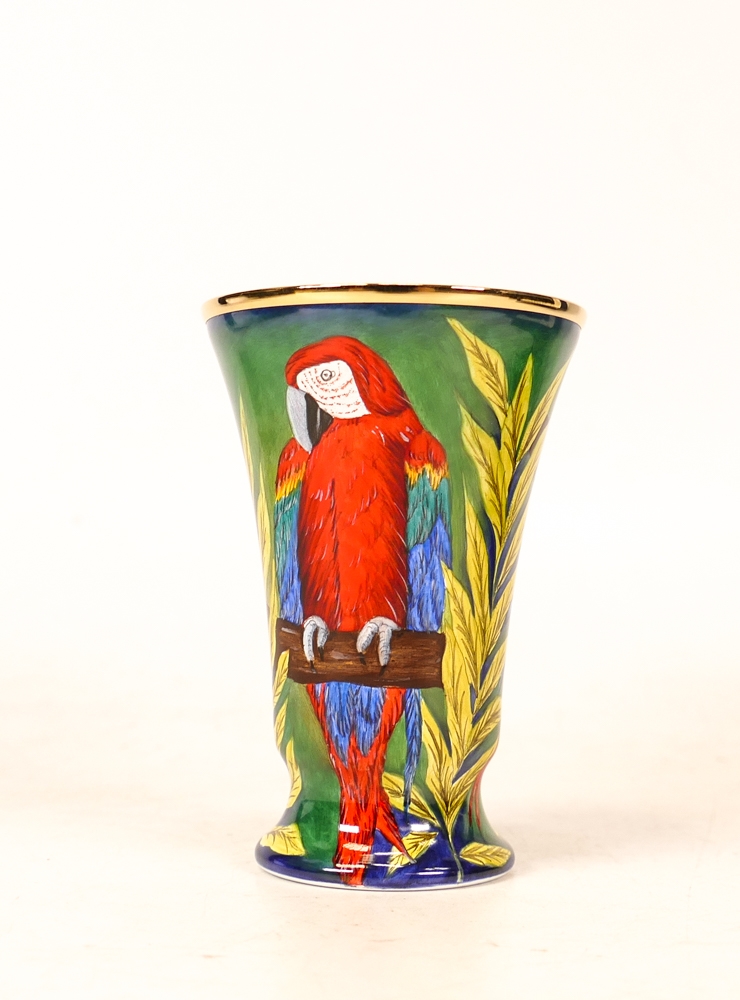 Moorcroft enamel Rainbow Macaw vase by Faye Williams , Limited edition 21/50. Boxed with - Image 3 of 5