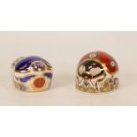 Royal Crown Derby paperweights seven Spot Lady Bird & Millennium Bug , gold stoppers, each boxed (2)