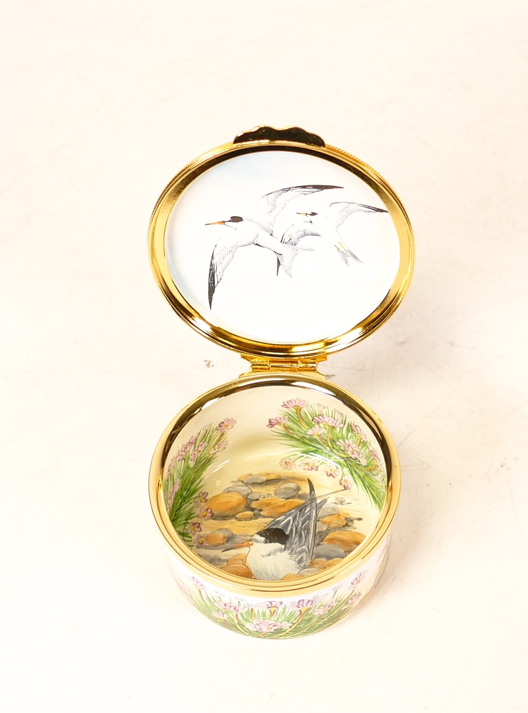 Moorcroft enamel Terns round lidded box by R Douglas Ryder , Limited edition 57/75. Boxed with - Image 5 of 7