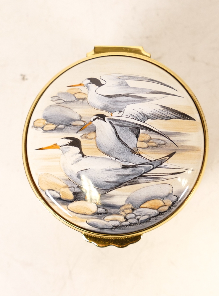 Moorcroft enamel Terns round lidded box by R Douglas Ryder , Limited edition 57/75. Boxed with - Image 3 of 7