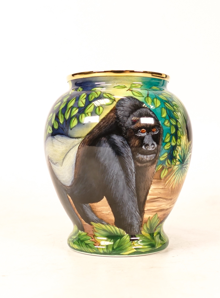 Moorcroft enamel Gorilla vase by Faye Williams , Limited edition 102/200. Boxed with certificate. - Image 2 of 5