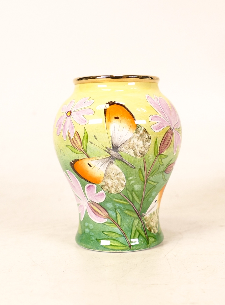 Moorcroft enamel The Awakening vase by Fiona Bakewell , Limited edition 17/50. Boxed with - Image 4 of 5