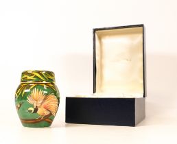 Moorcroft enamel Raggiana Bird of Paradise ginger jar by Faye Williams , Limited edition 9/50. Boxed