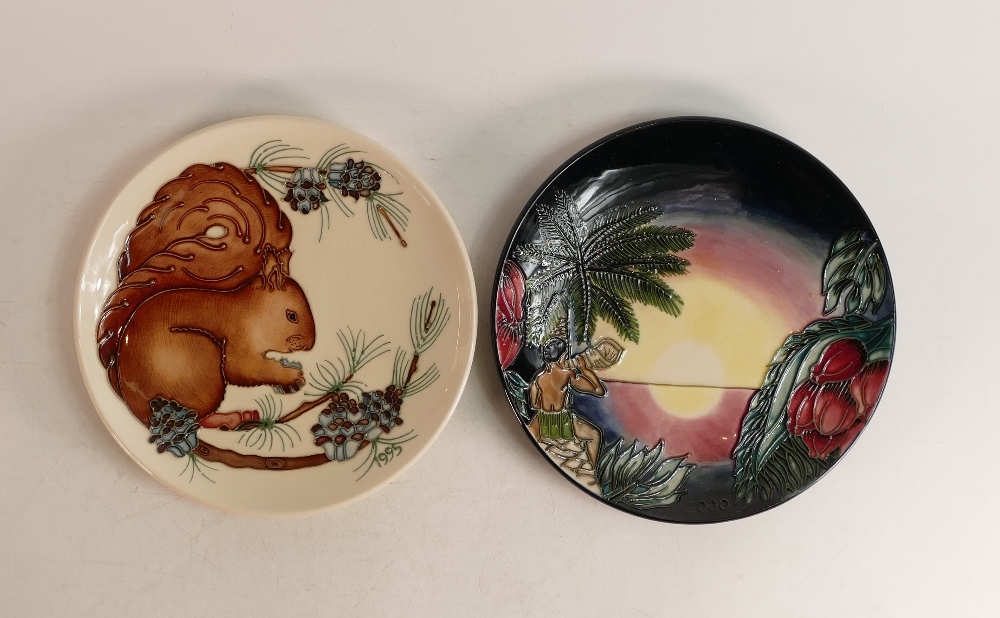 Moorcroft plates to include Birth of Light 2000 and Squirrel 1995 . Boxed , Both limited edition ,