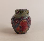 Moorcroft Finch and Berry ginger jar, height 10cm