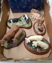 A collection of 5 Border Fine Arts resin sculptures, including cattle, pigs, hens (one boxed)(5).