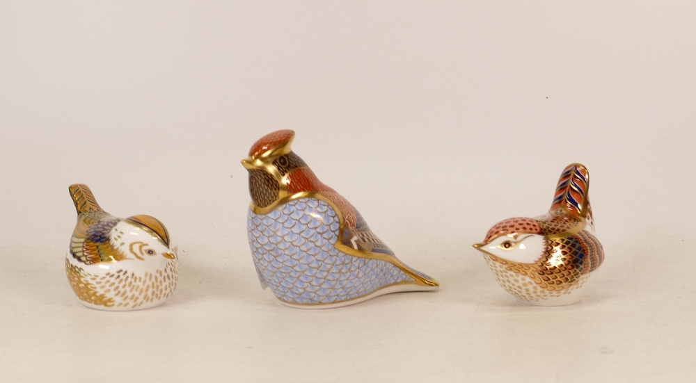 Royal Crown Derby Paperweights Waxwing, Fire Crest and Derby Wren (boxed), gold stopper (3)