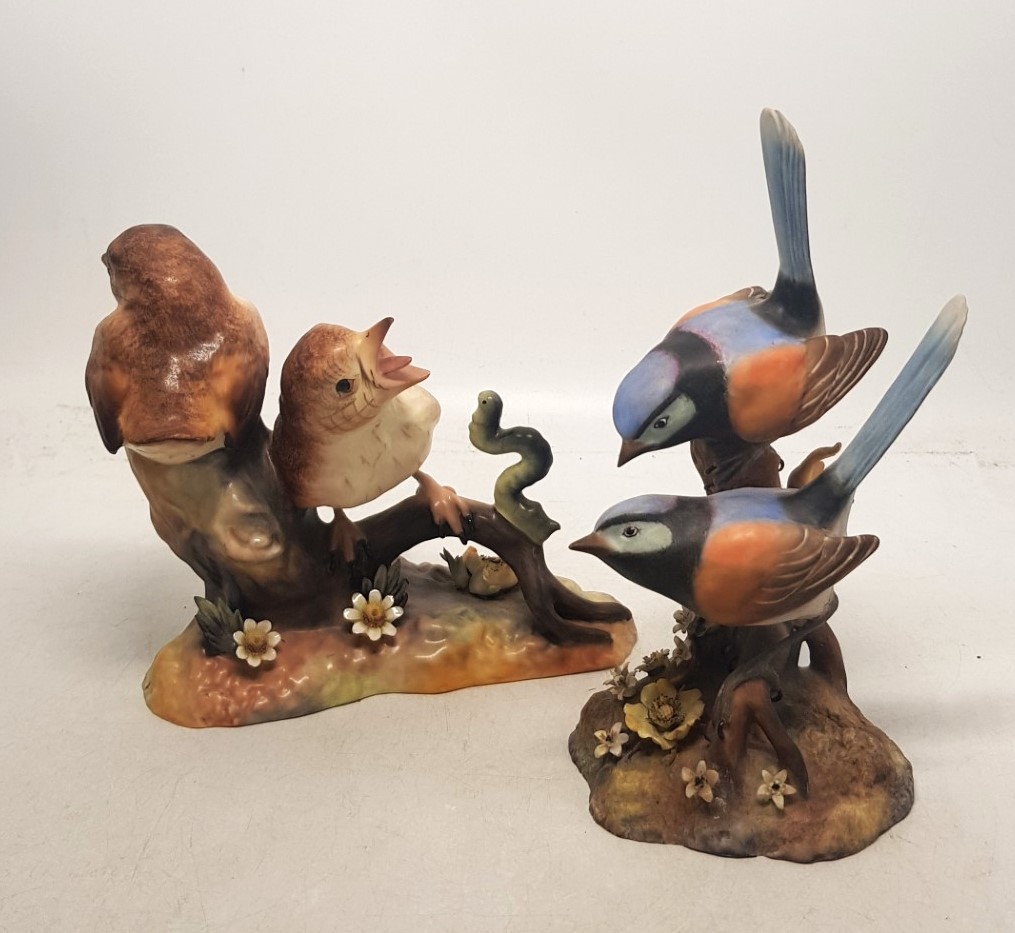 Royal Crown Derby figural group bird studies - Thrush Chicks and Fairy Wrens (2).