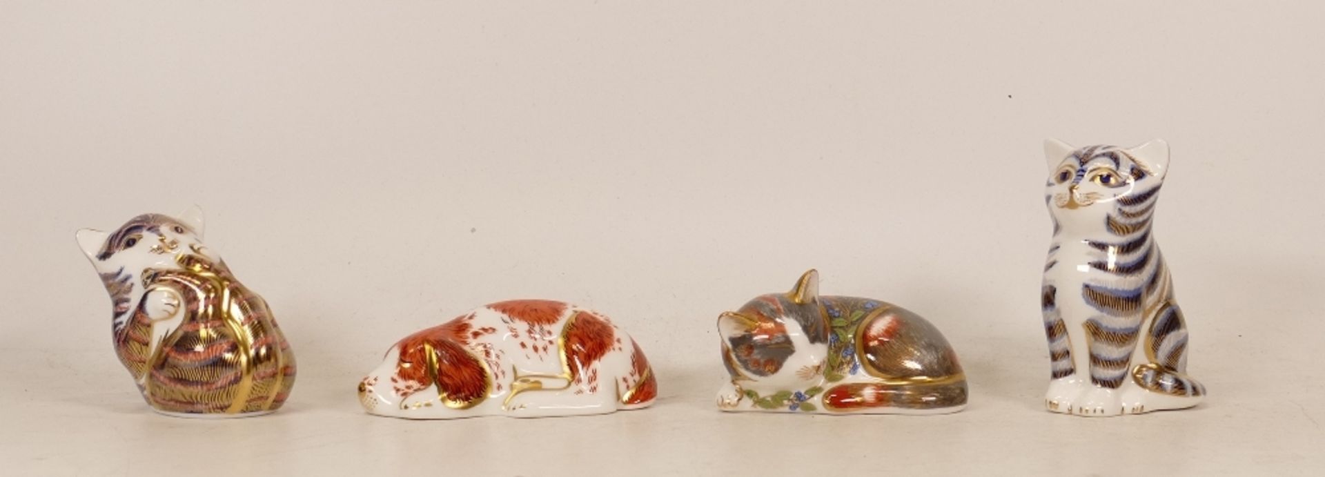 Royal Crown Derby Paperweights Playful Cat, Catnip Kitten, Puppy and Seated Kitten, boxed, gold