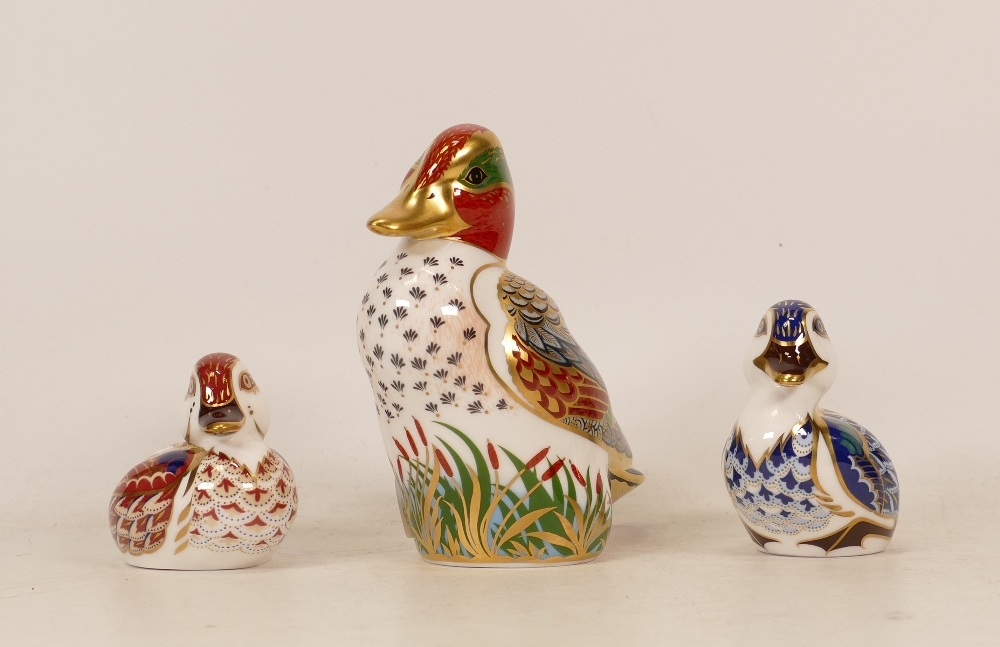 Royal Crown Derby Paperweights Green Winged Teal (boxed), Brown Ducking and Blue Seated Duckling,