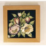 Moorcroft Ashwood Lenten Rose wall plaque, limited edition 72/75, red dot seconds, 26.5 squared