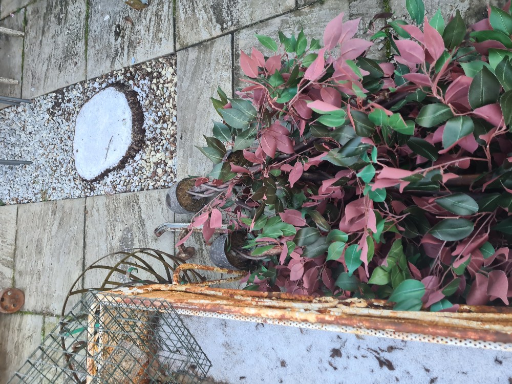 A quantity of metalware, mainly garden related and sundry plastic trees - Image 3 of 3