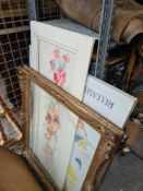 A quantity of pictures and a gilt frame