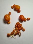 Bag containing 23 butterscotch amber beads, some AF, various sizes, approx 48g