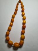String of butterscotch amber beads, comprising 23 graduated beads, approx 82.3g