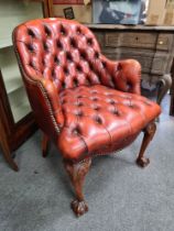 An oxblood deep buttoned chair, with lion and ball carved front legs