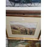 Ruth Dollman, an early 20th century watercolour of trees in hilly landscape, signed and dated 1906