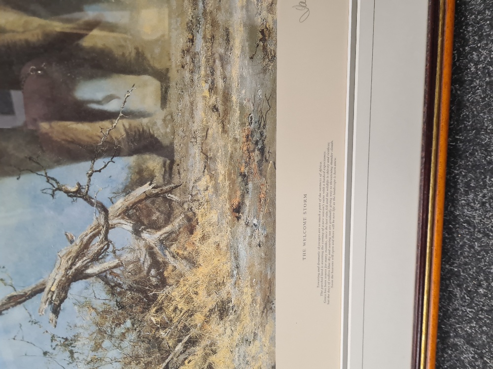 3 Limited Edition David Shepherd prints incl a large example depicting an Elephant - Image 2 of 5