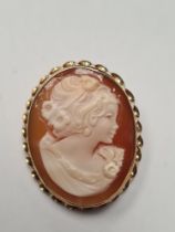9ct yellow gold cameo brooch/pendant, carved shell side profile of a classical lady in 9ct gold twis