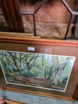 A quantity of landscape/woodland paintings including pastels by G C Tompkins (7)