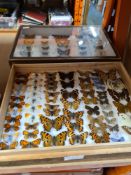 A box of butterflies and a framed case and 5 books by H.G. Wells