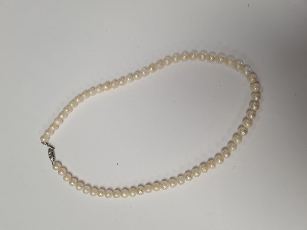 Single strand of pearls with silver clasp, marked 835, 39cm
