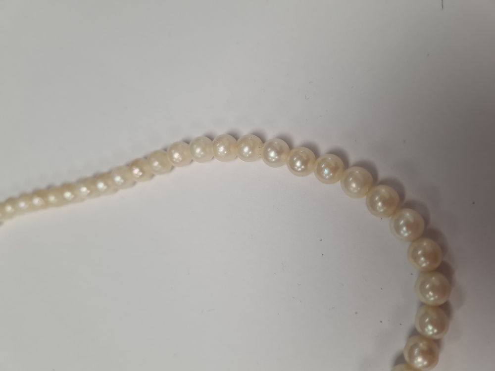 Single strand of pearls with silver clasp, marked 835, 39cm - Image 2 of 3