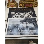 David Yarrow, a photographic print of two elephants and a copy of his book with inscription to front