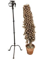 A gothic style wrought iron candlestand, the lily sconce on a knopped column raised on curved tripod